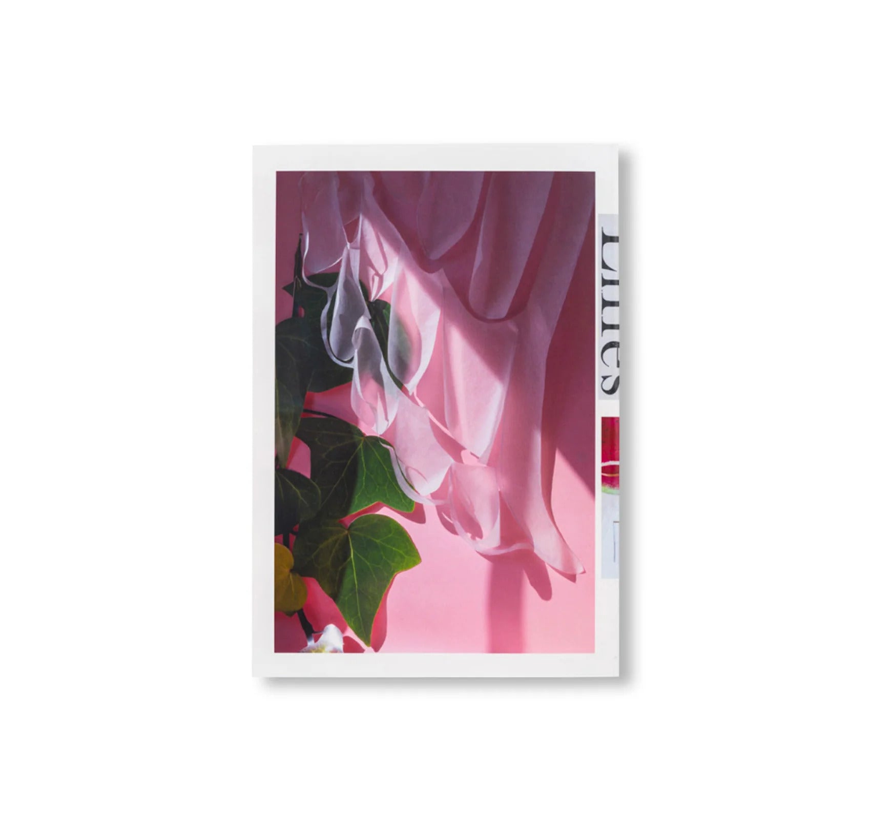 LILIES by David Gilbert