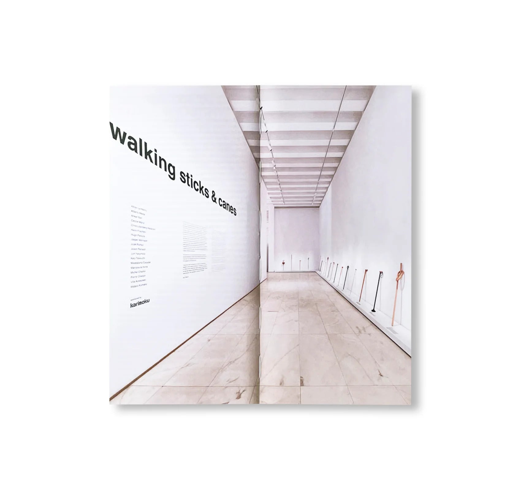 WALKING STICKS by Keiji Takeuchi, Marco Sammicheli