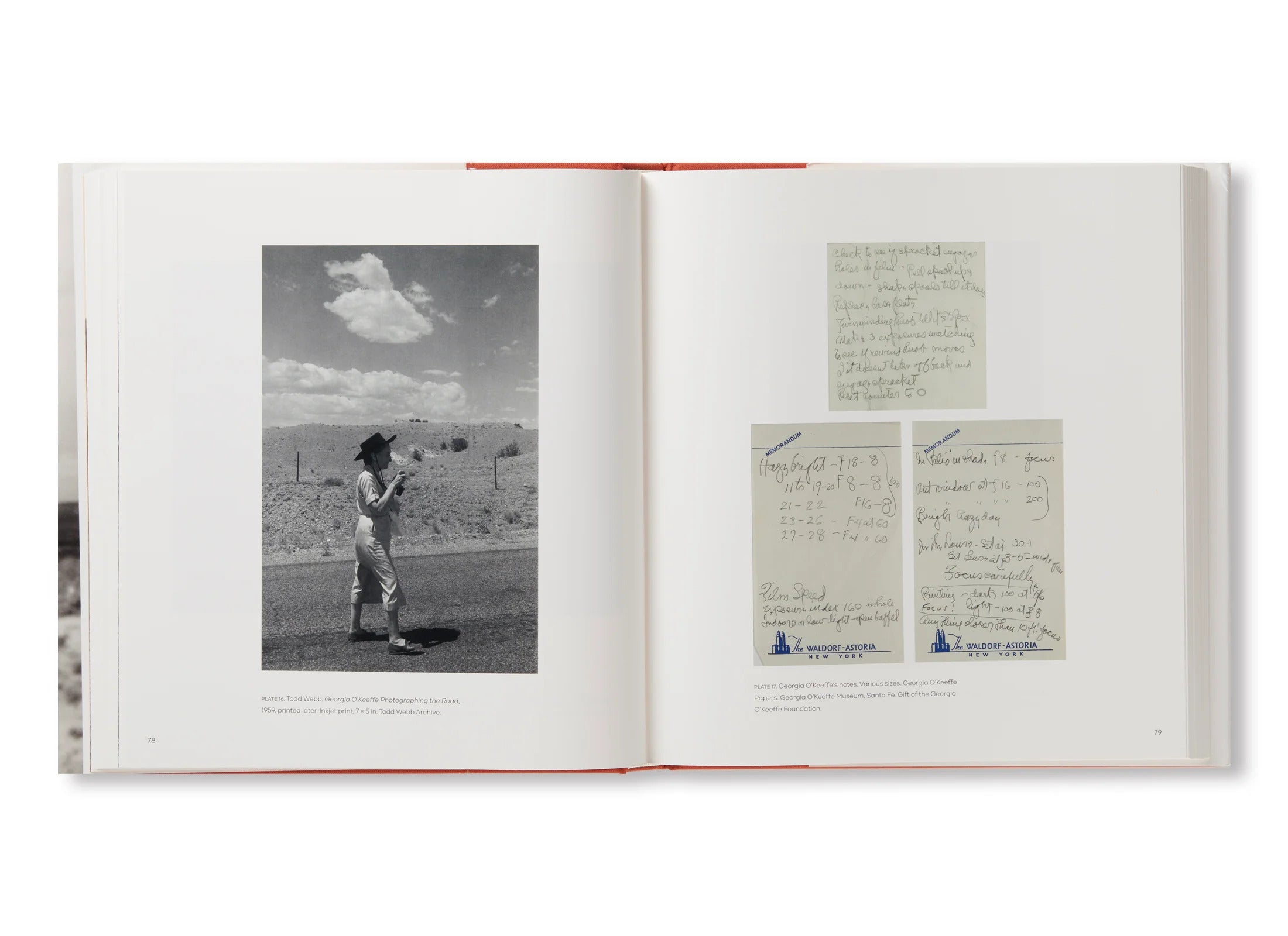 GEORGIA O'KEEFFE,PHOTOGRAPHER by Georgia O'Keeffe