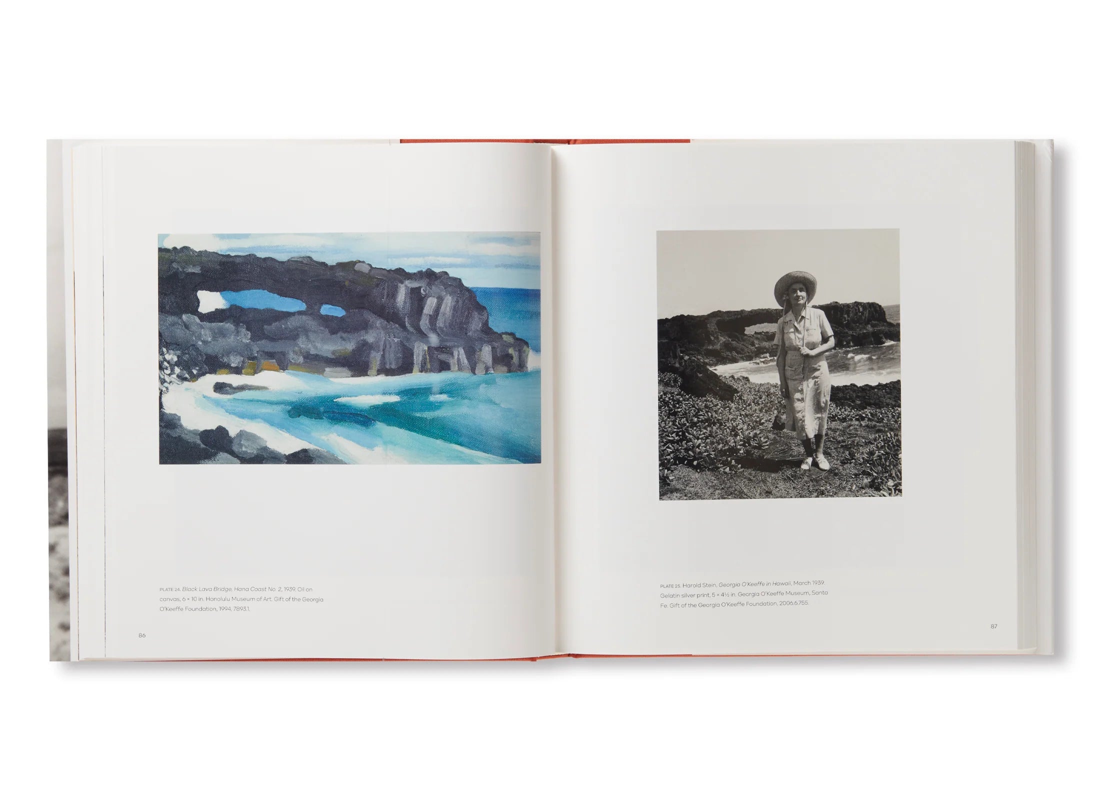 GEORGIA O'KEEFFE,PHOTOGRAPHER by Georgia O'Keeffe