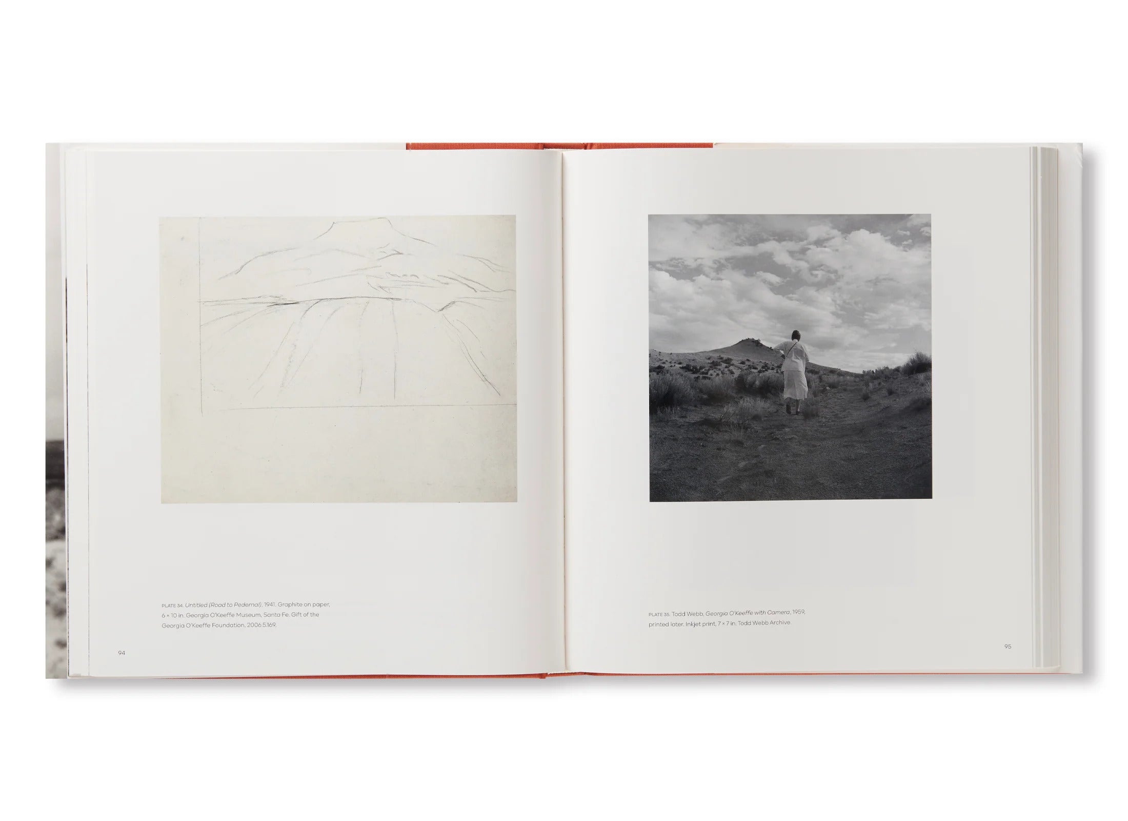 GEORGIA O'KEEFFE,PHOTOGRAPHER by Georgia O'Keeffe