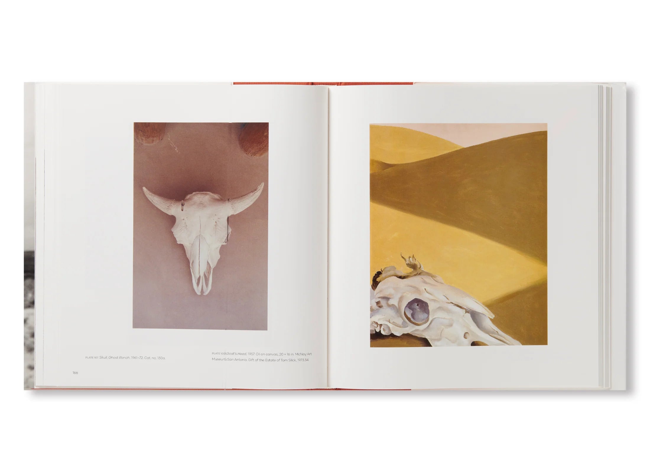 GEORGIA O'KEEFFE,PHOTOGRAPHER by Georgia O'Keeffe