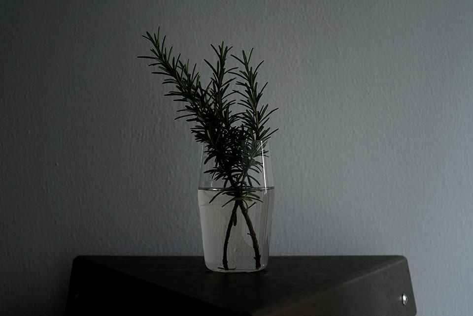 寄り添うペアグラス ロング