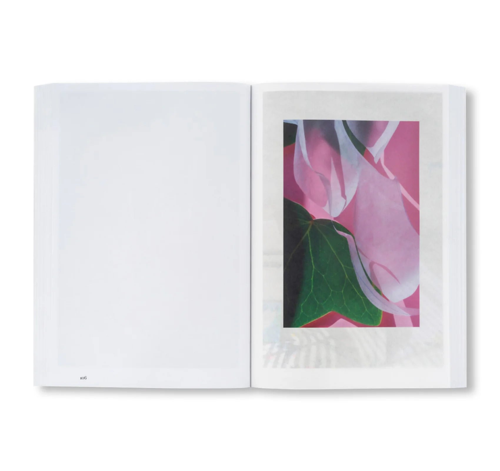 LILIES by David Gilbert