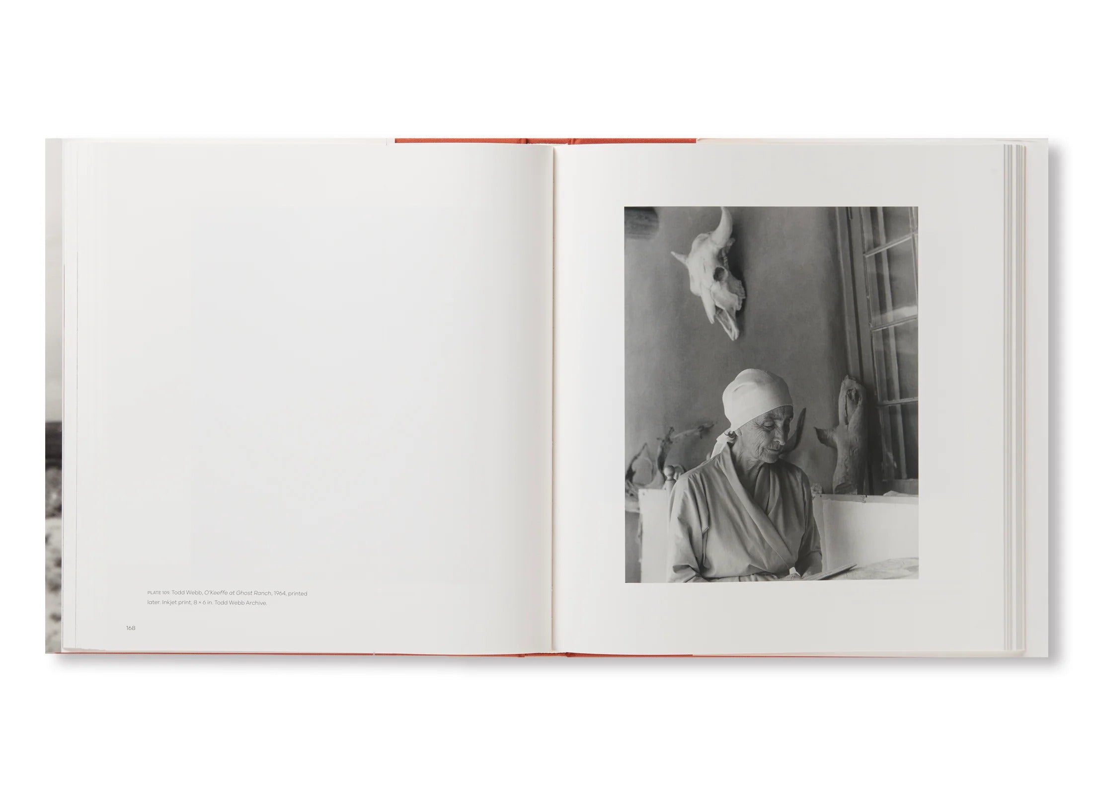 GEORGIA O'KEEFFE,PHOTOGRAPHER by Georgia O'Keeffe