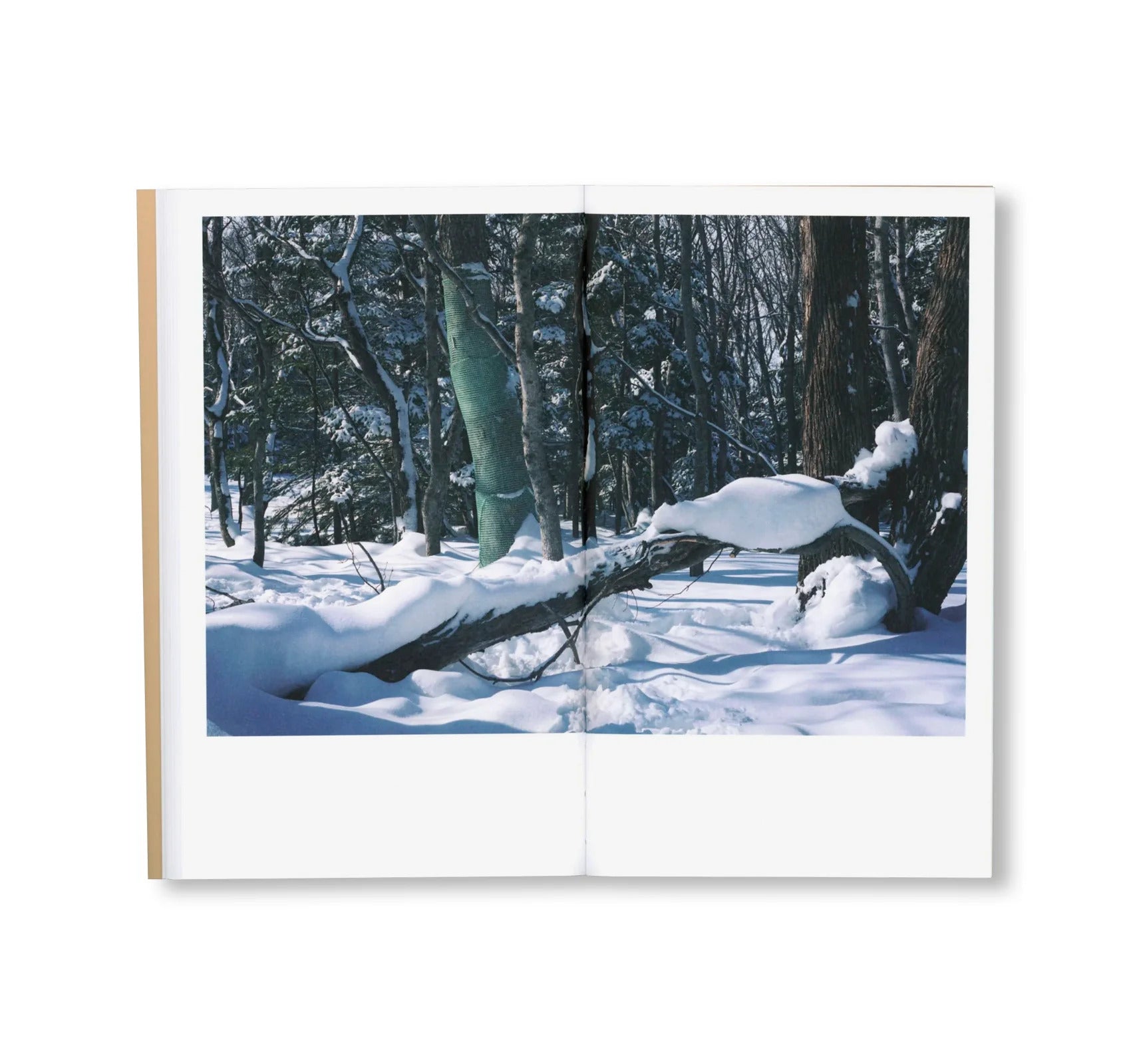 BTS by Takashi Homma