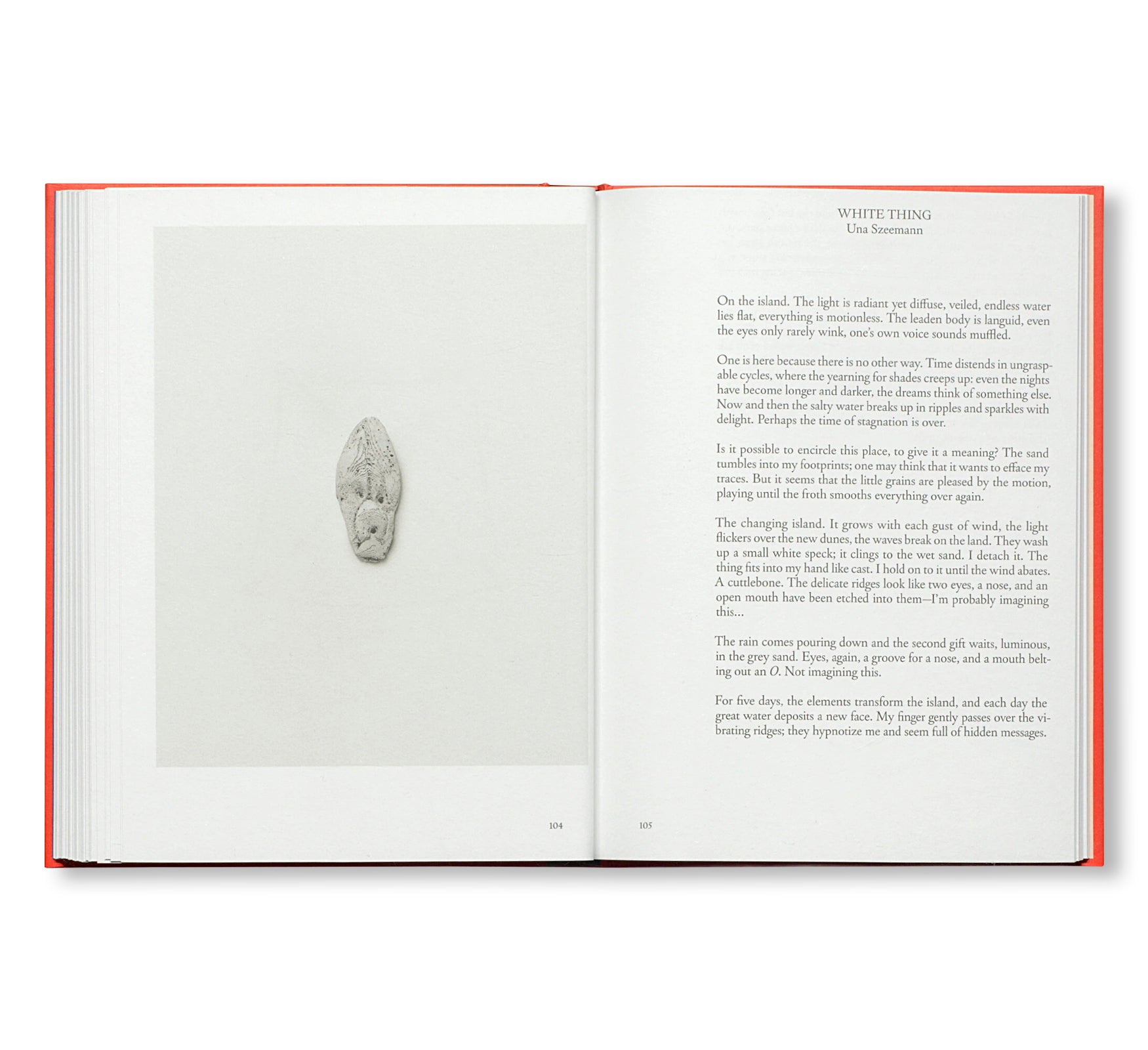 PRETENZIONE INTENZIONE – OBJECTS OF BEAUTY
AND BEWILDERMENT FROM THE ARCHIVE ... by Harald Szeemann