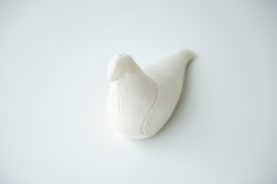 Pigeon Service［B］ / Christien Meindertsma