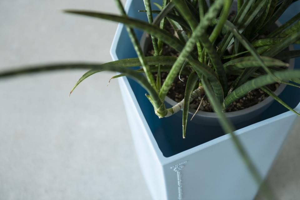 Arnoldino Stool（baby blue）