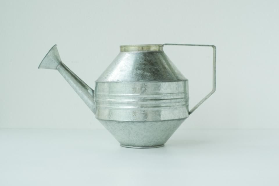 Regadera 4