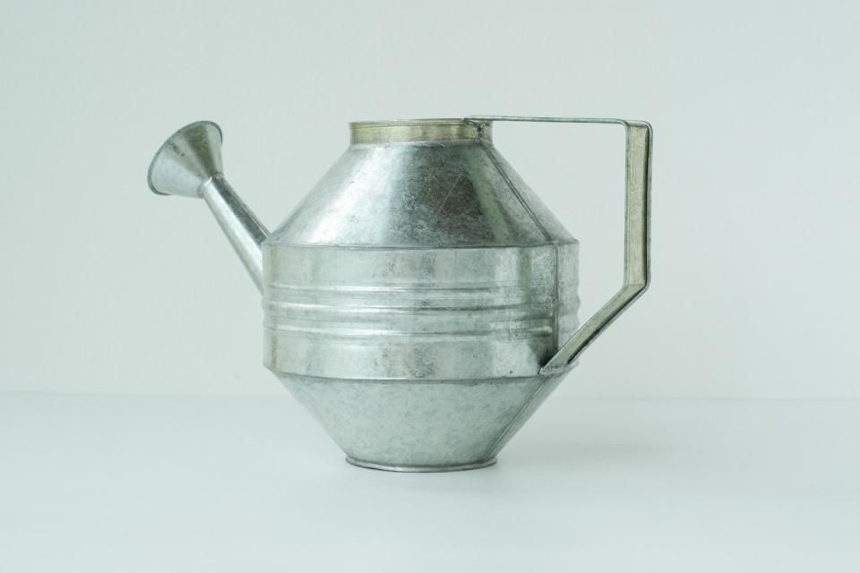 Regadera 4