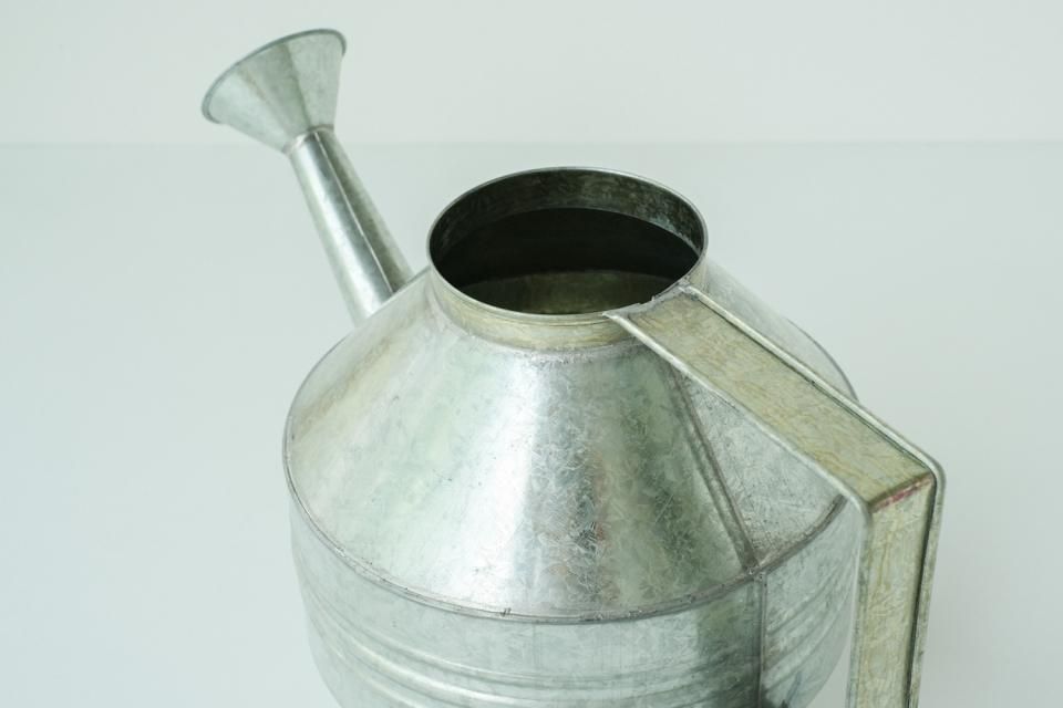 Regadera 4