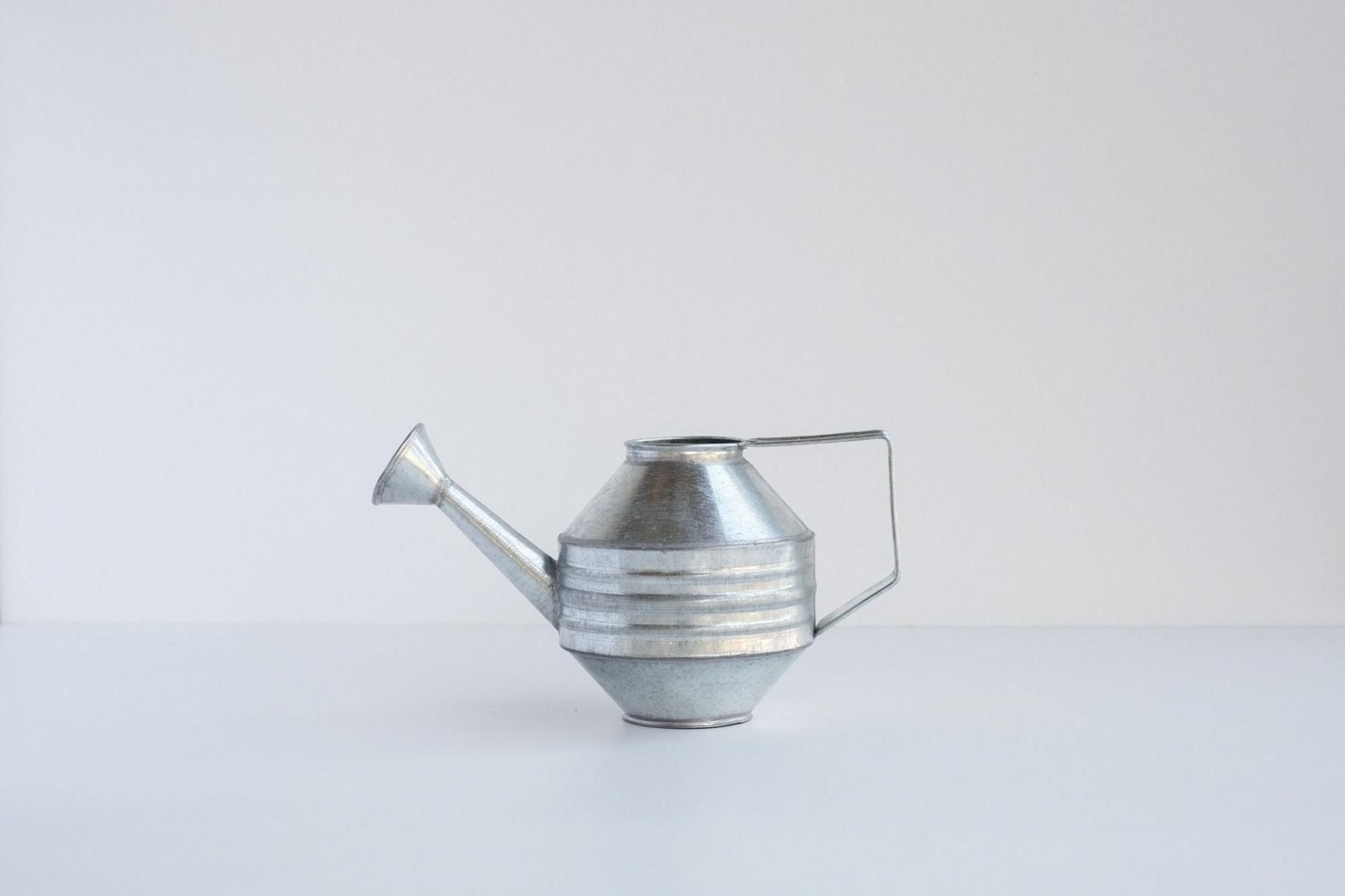 Regadera 5