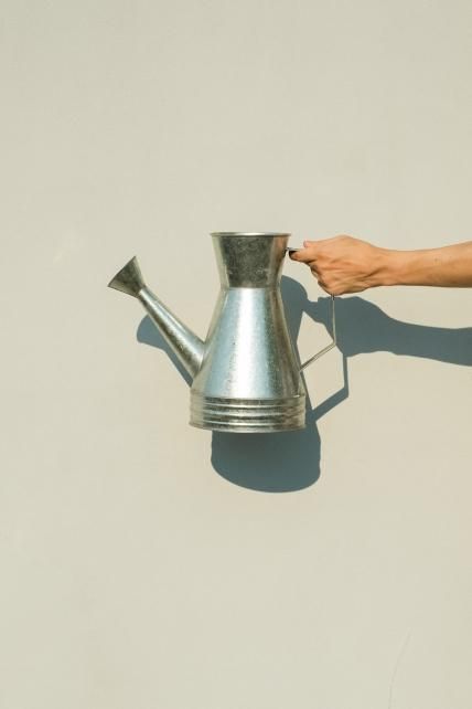 Regadera 1
