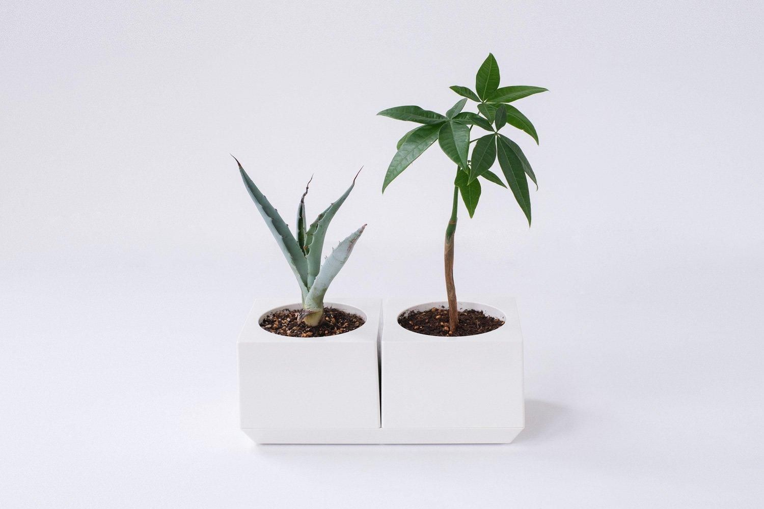 PAIR CUBIC by Masanori Umeda / Marutomi