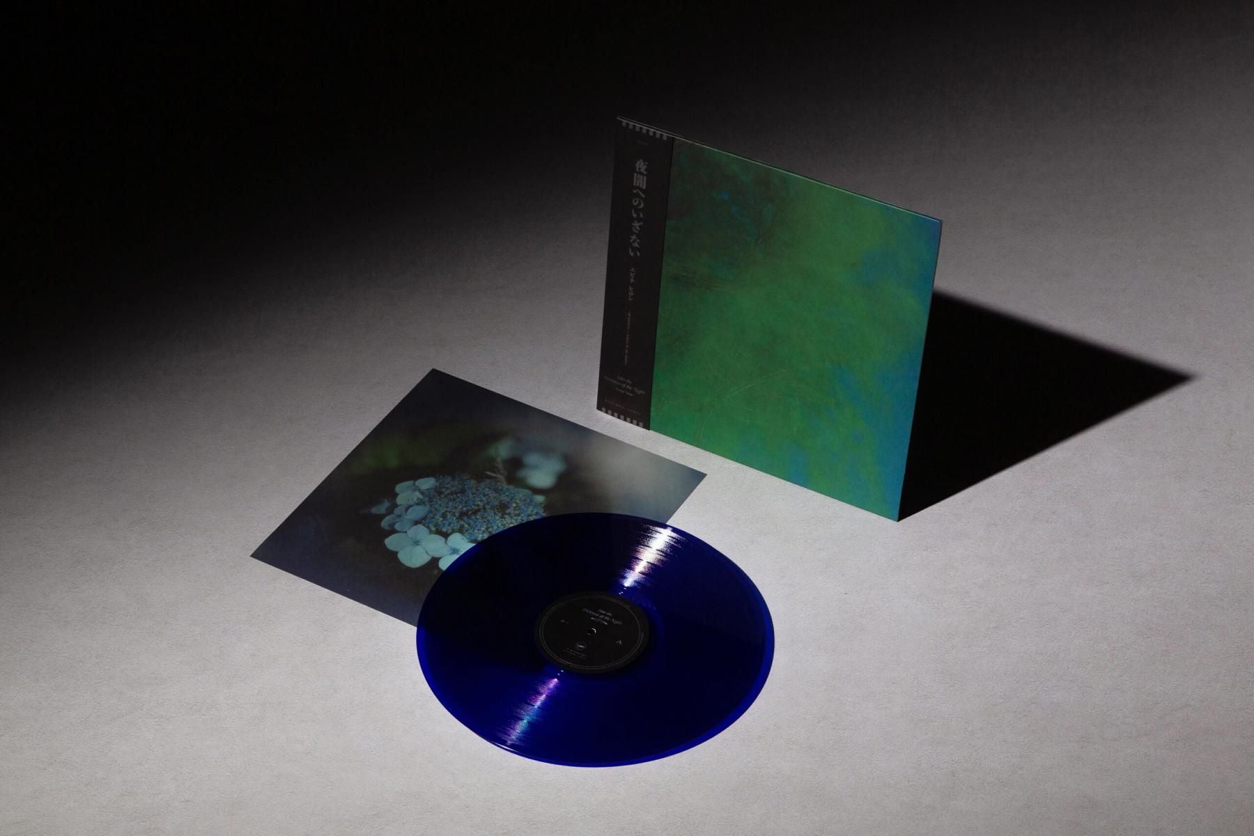LPレコード：Hiroshi Ebina"Into the Darkness of the Night”（Blue Vinyl）<br>夜の静寂と孤独を癒しへと導く、眠れない人たちのための子守唄。