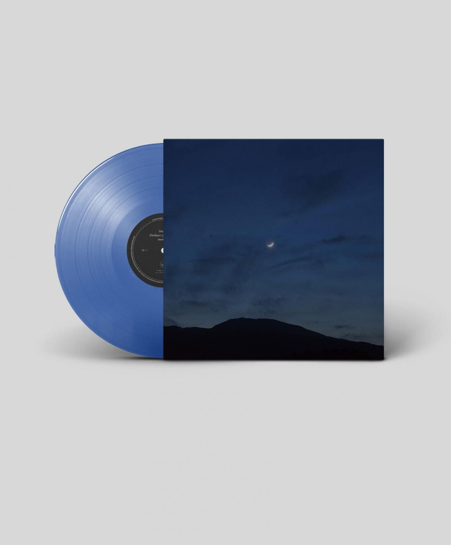 LPレコード：Hiroshi Ebina"Into the Darkness of the Night”（Blue Vinyl）<br>夜の静寂と孤独を癒しへと導く、眠れない人たちのための子守唄。