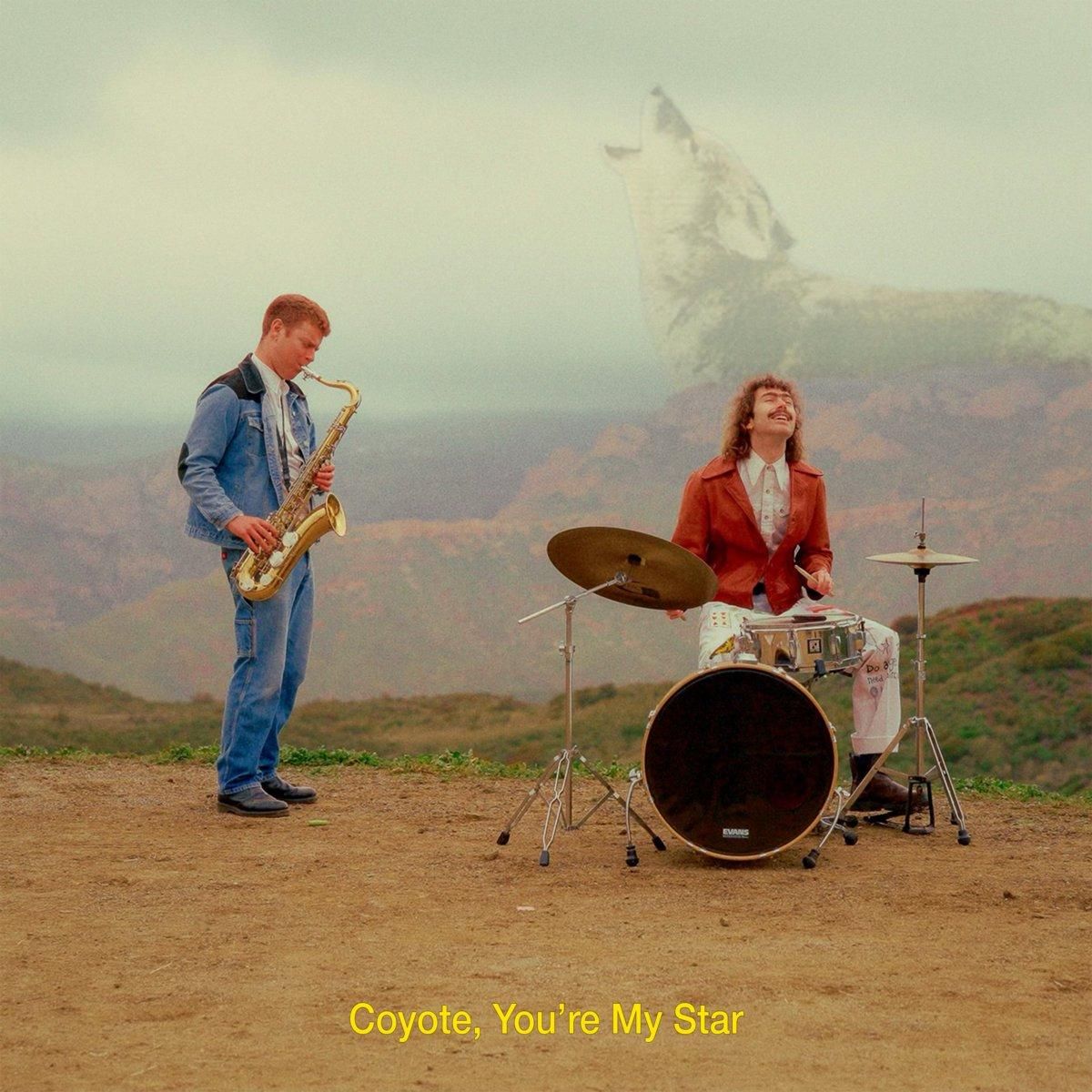 LPレコード：DANA AND ALDEN “COYOTE, YOU'RE MY STAR” （Color Vinyl）<br>兄弟デュオによるジャジーでメロウなインディーサウンド