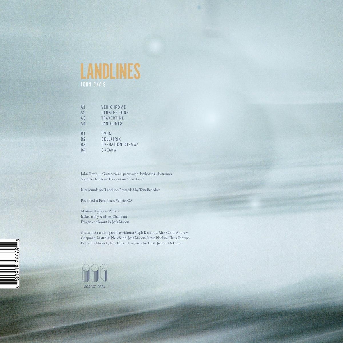 LPレコード：John Davis “Landlines” LP