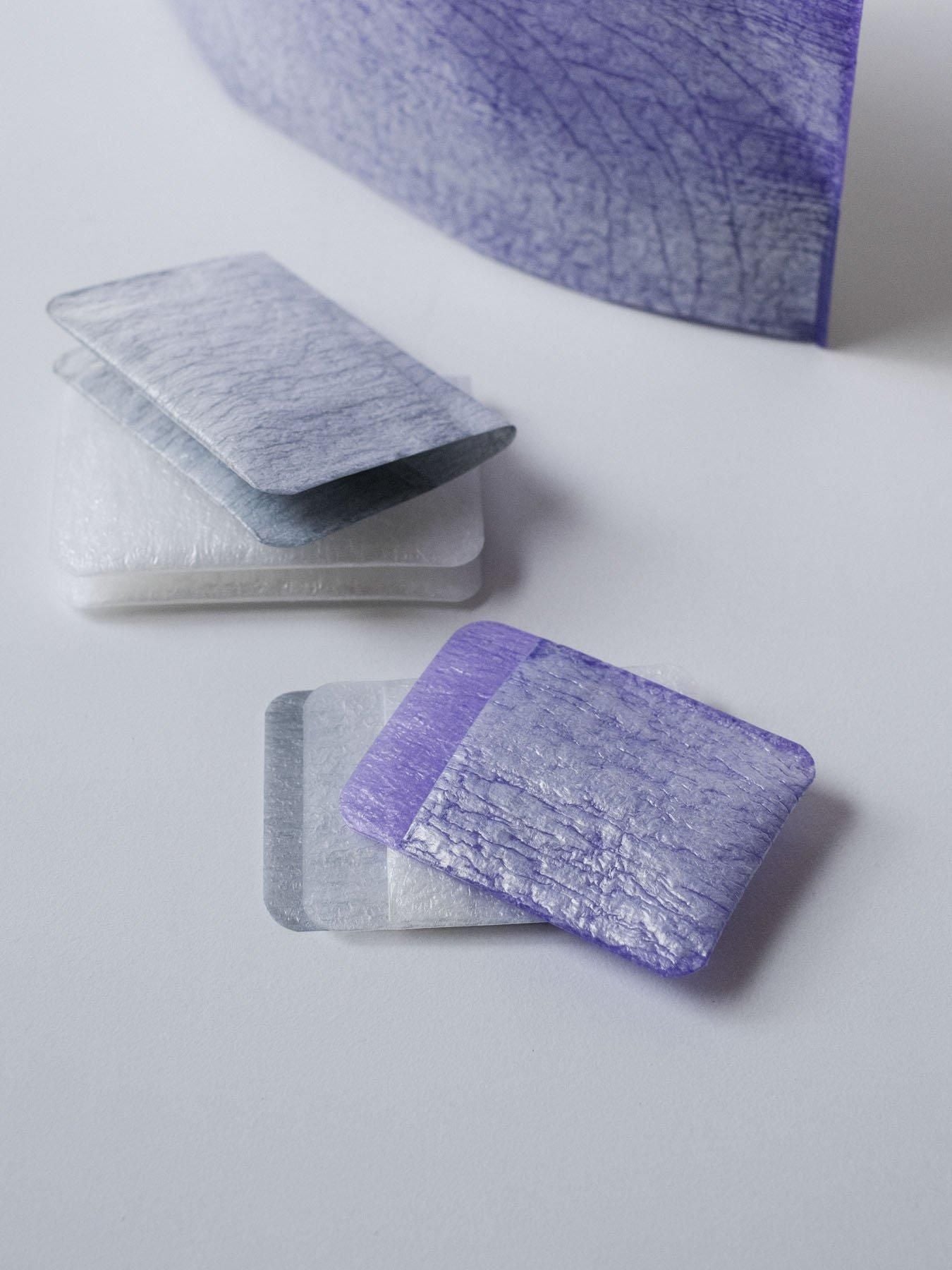 PE CARD CASE [Frost]