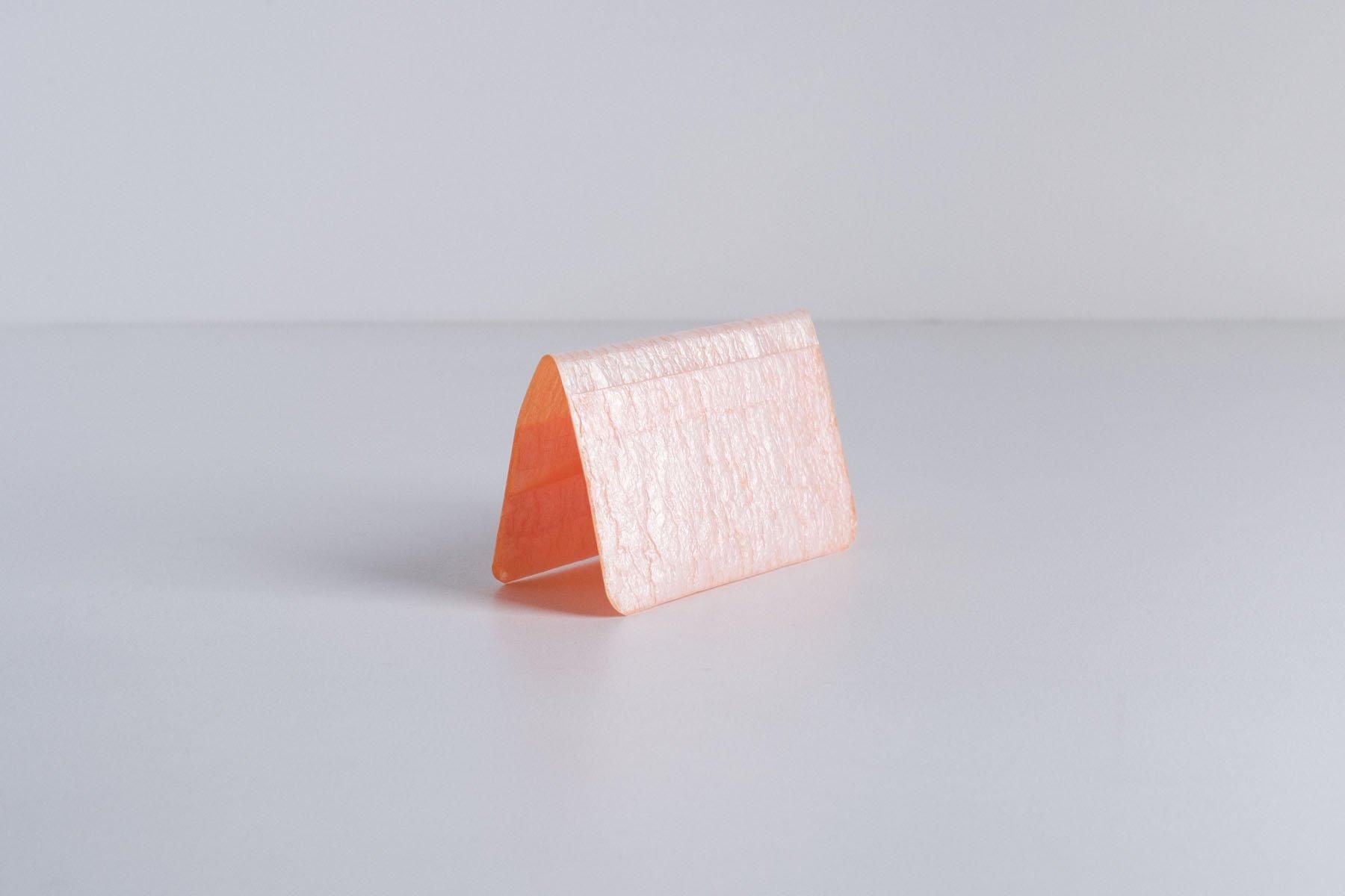 PE CARD CASE [Frost + Light Orange (036)]