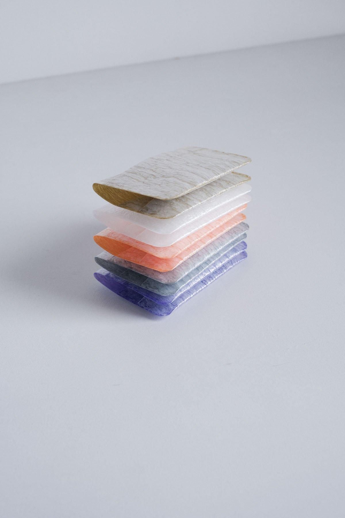PE CARD CASE [Frost + Silver (038)]