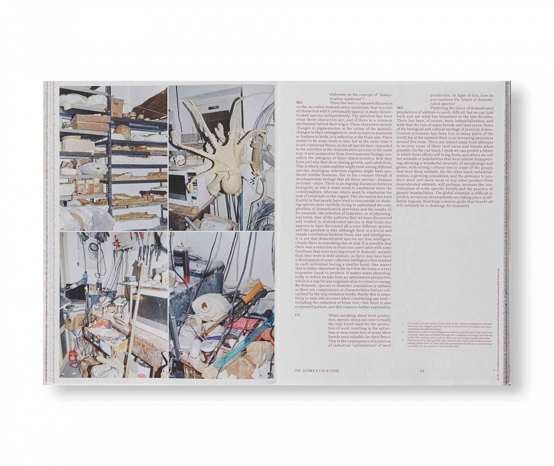 書籍：FORMAFANTASMA: OLTRE TERRA by Formafantasma