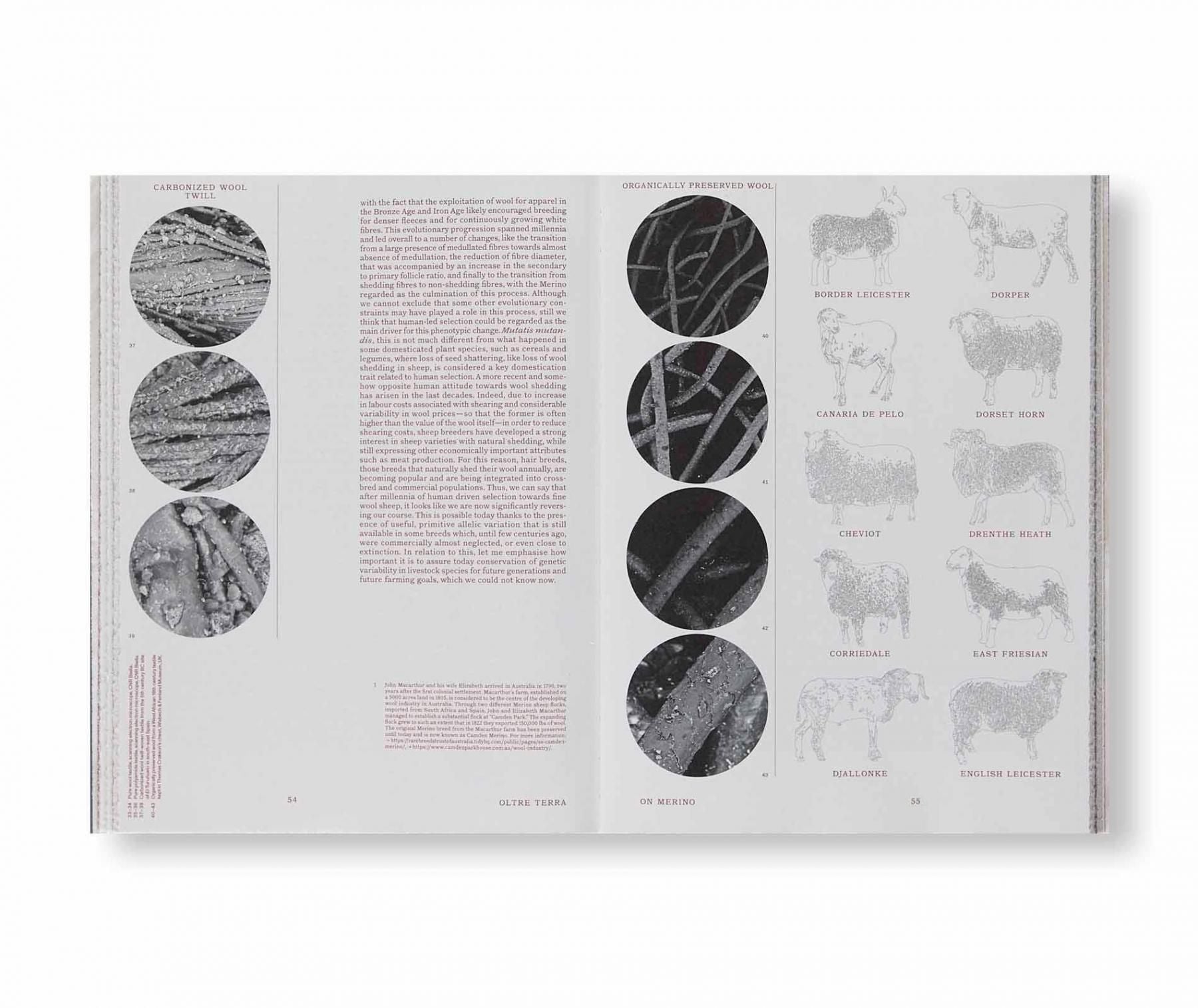 書籍：FORMAFANTASMA: OLTRE TERRA by Formafantasma