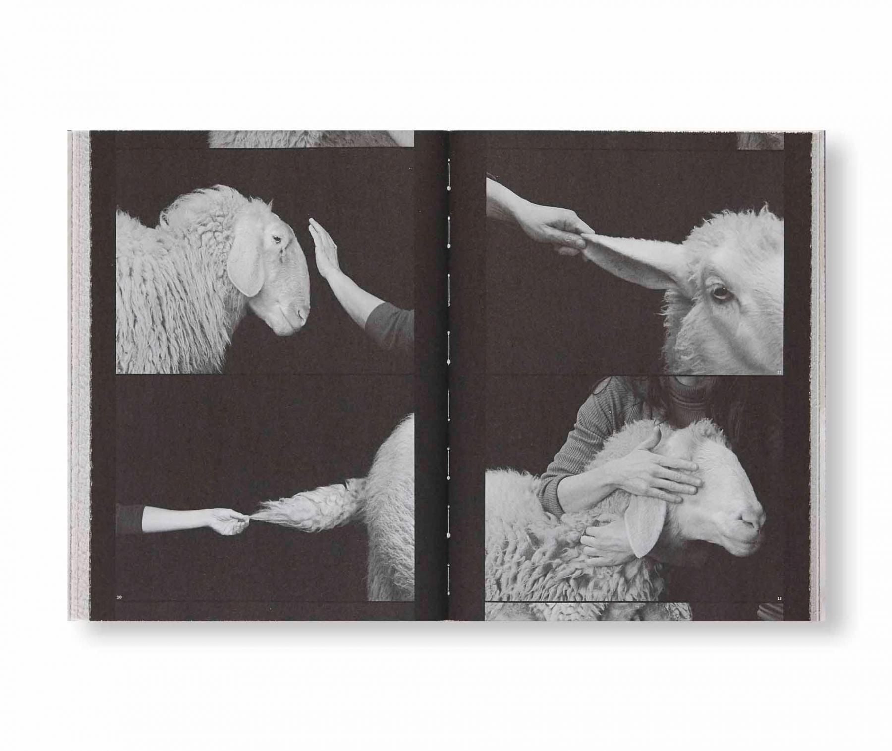 書籍：FORMAFANTASMA: OLTRE TERRA by Formafantasma