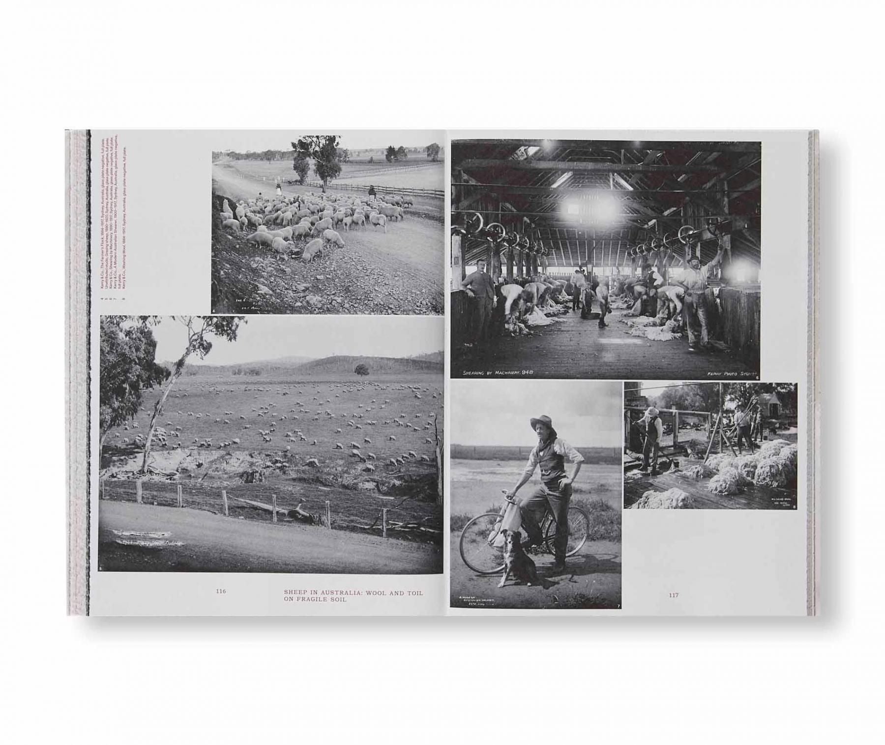 書籍：FORMAFANTASMA: OLTRE TERRA by Formafantasma