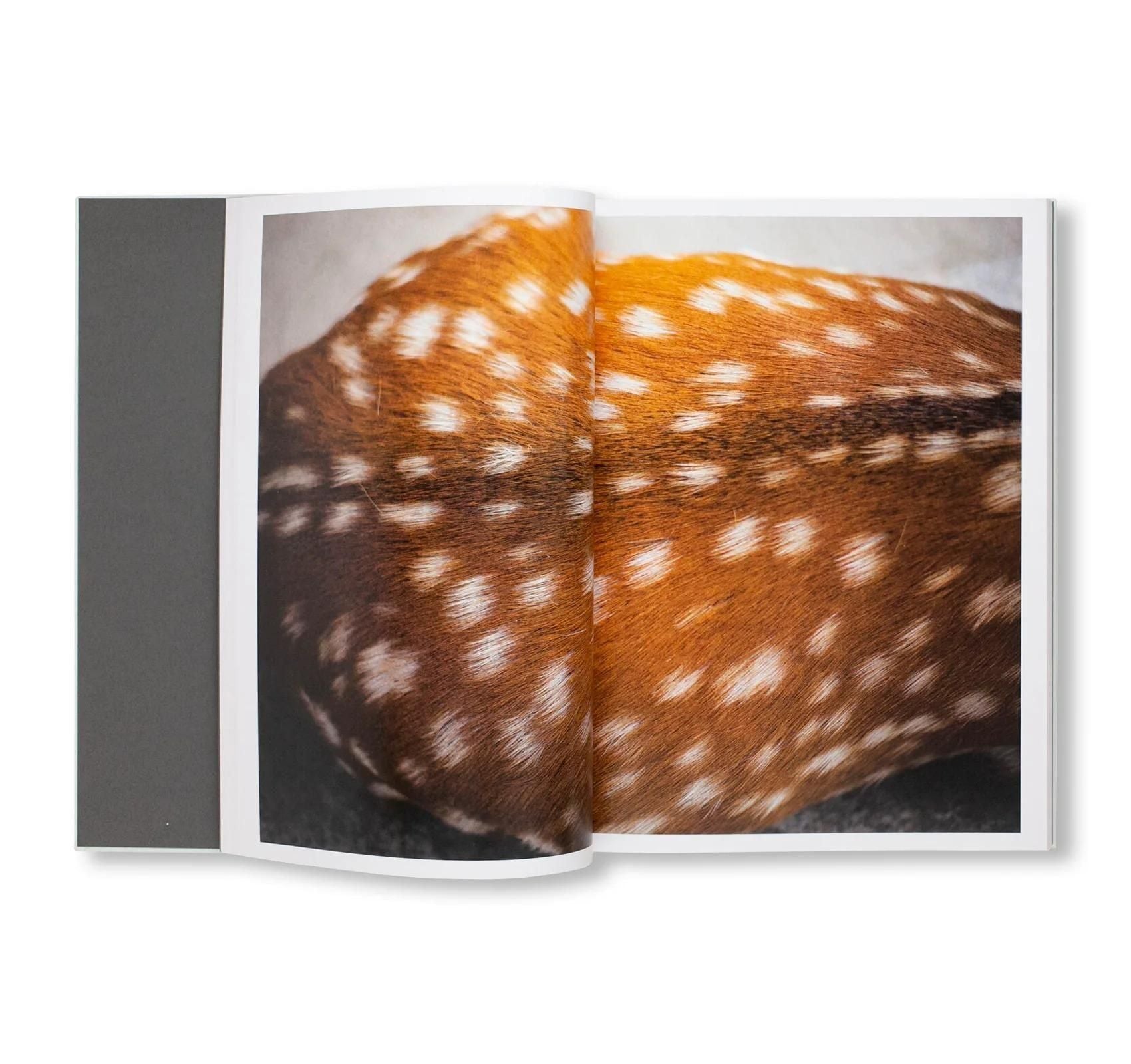 書籍：CLOUD PHYSICS by Terri Weifenbach
