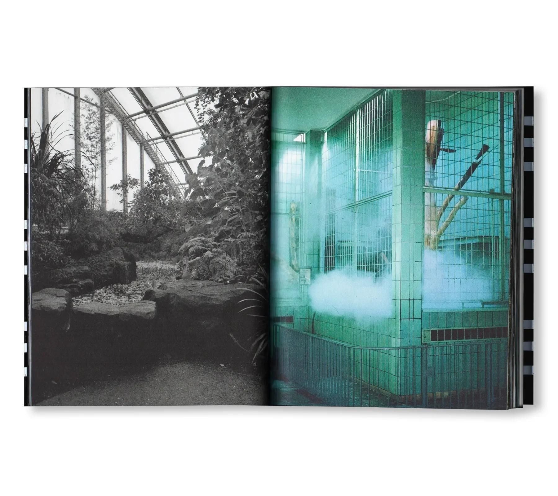 書籍：GEHEGE by Sara Arzu Hardegger, Vanja Ivana Jelić
