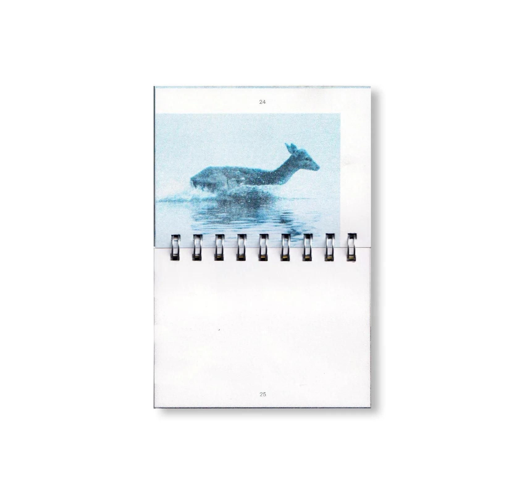 書籍：MANIFIESTO ANTITÉTICO by Gonzalo Golpe, Marina Meyer