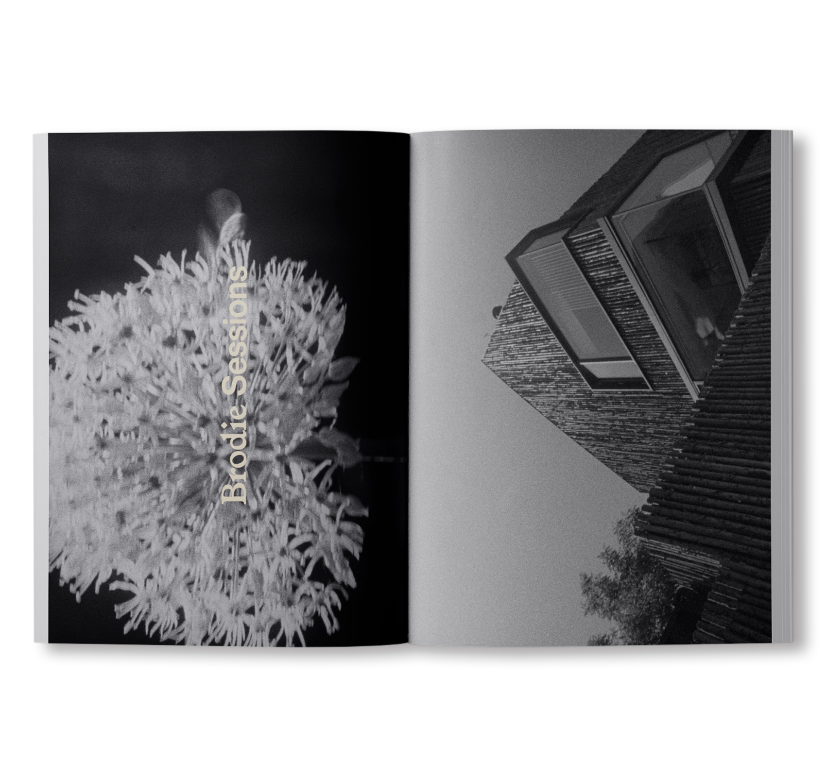 書籍：ARK JOURNAL VOLUME XIII SPRING/SUMMER 2025