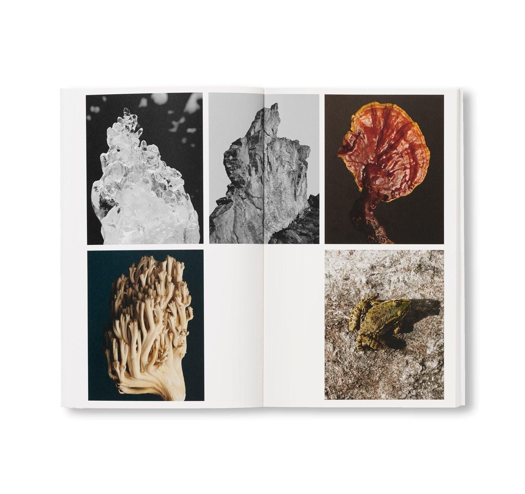 書籍：PASSAGE by Philippe Fragni_re [SIGNED]