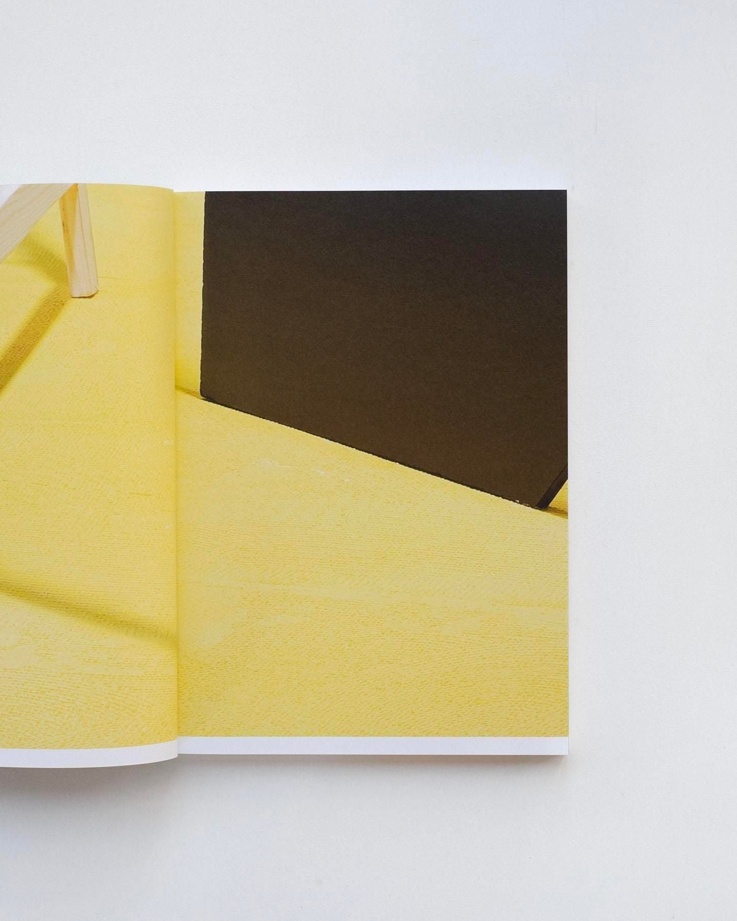 書籍：Fleur van Dodewaard
