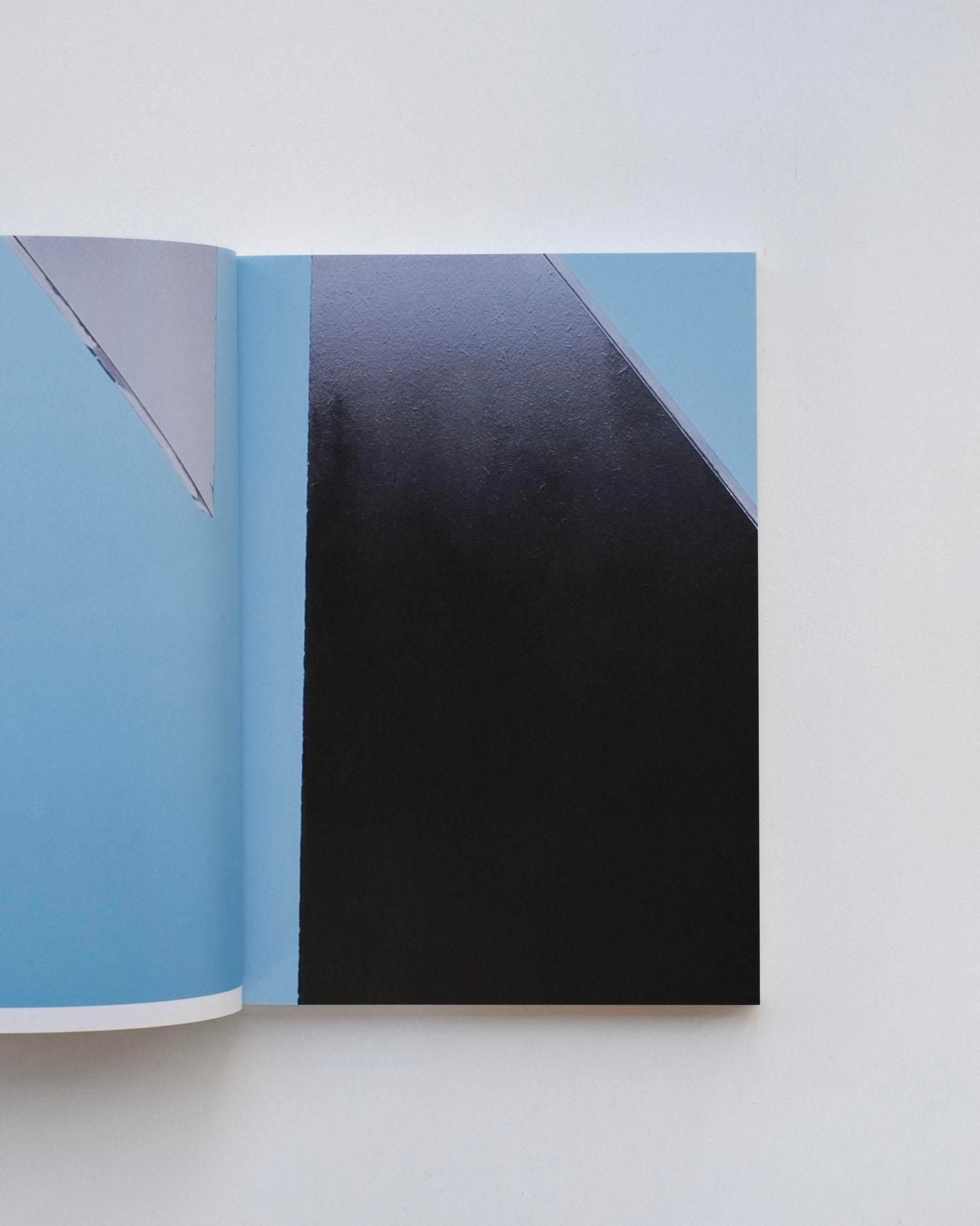 書籍：Fleur van Dodewaard