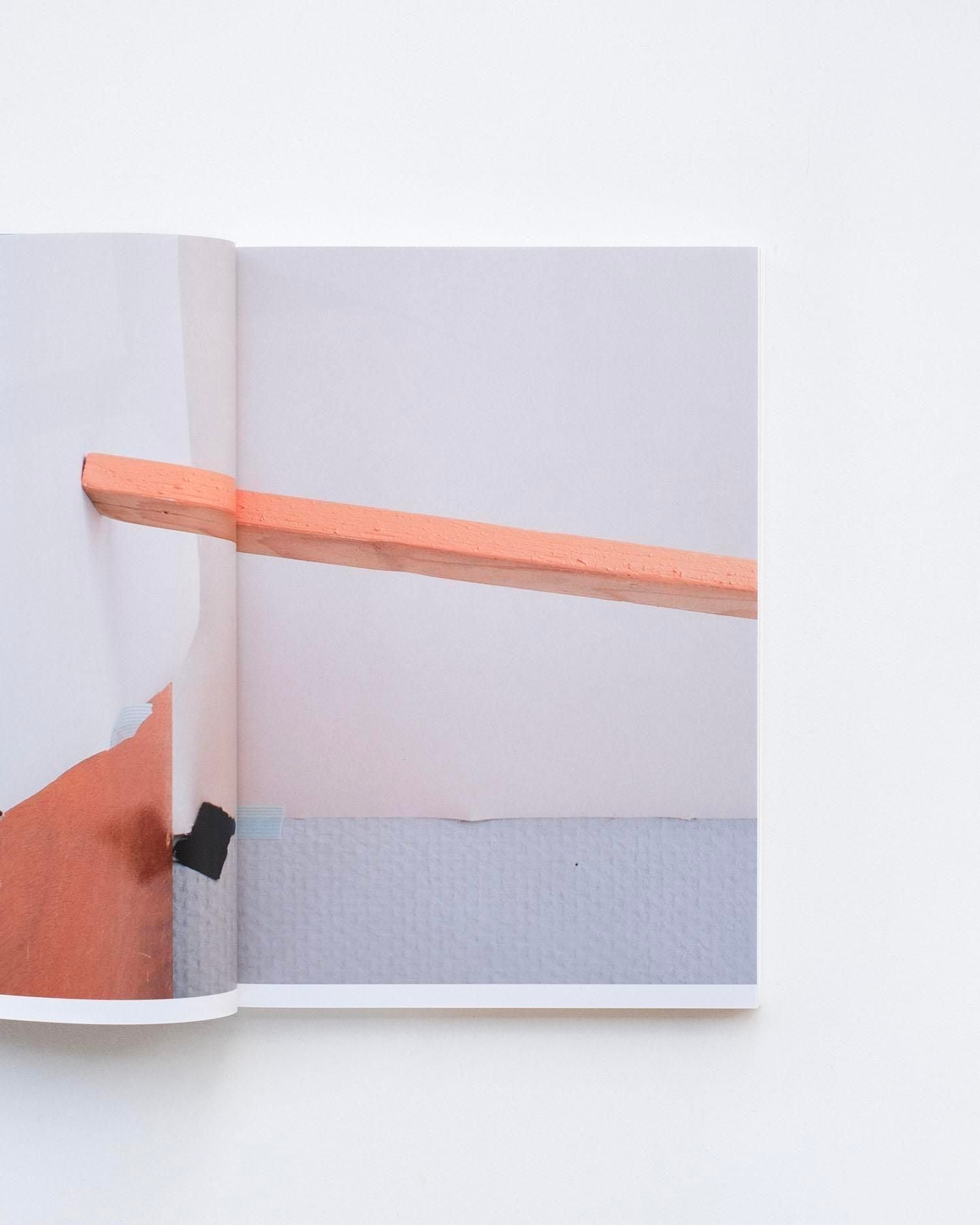 書籍：Fleur van Dodewaard