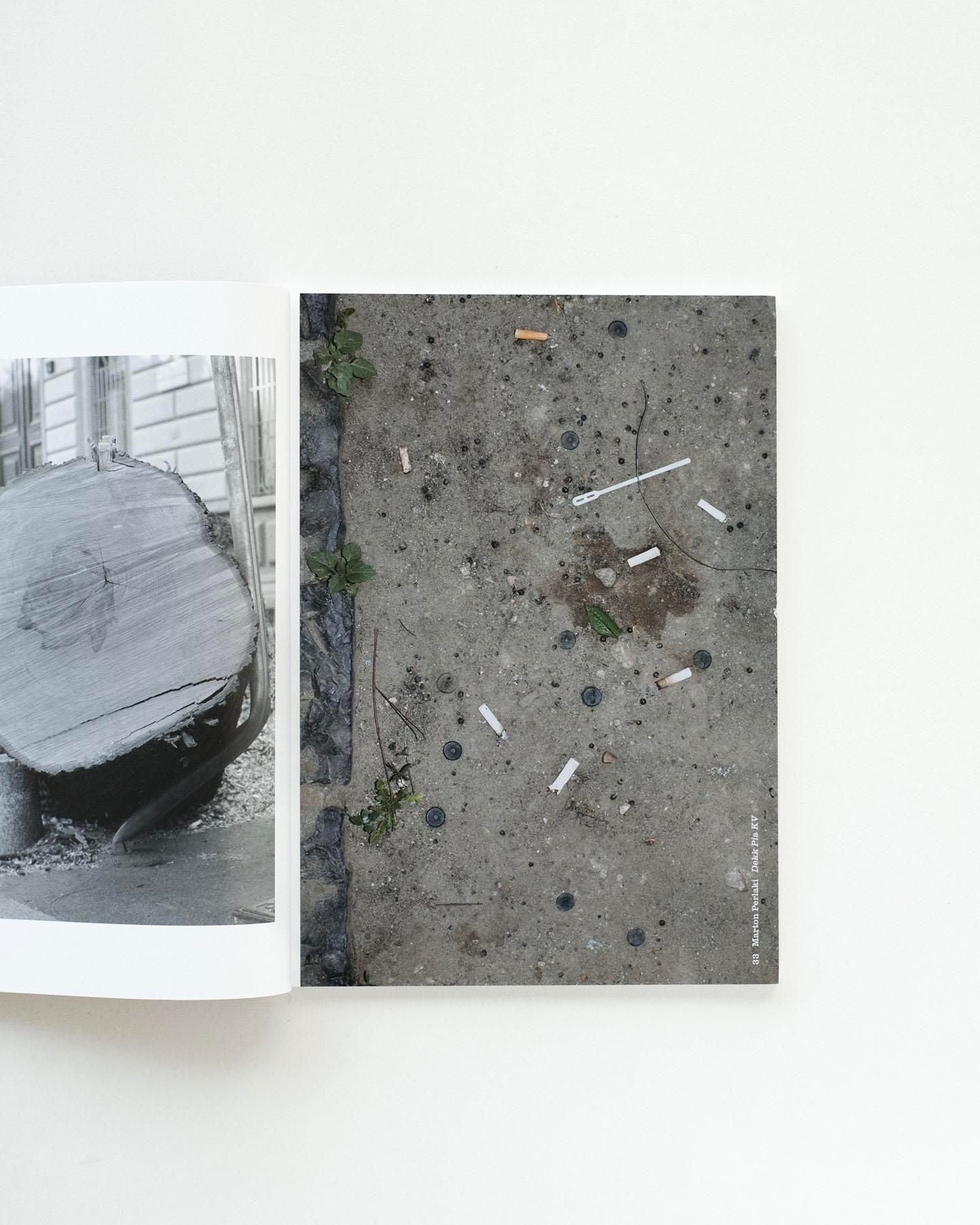 書籍：Parklife 2-A pause requires agility