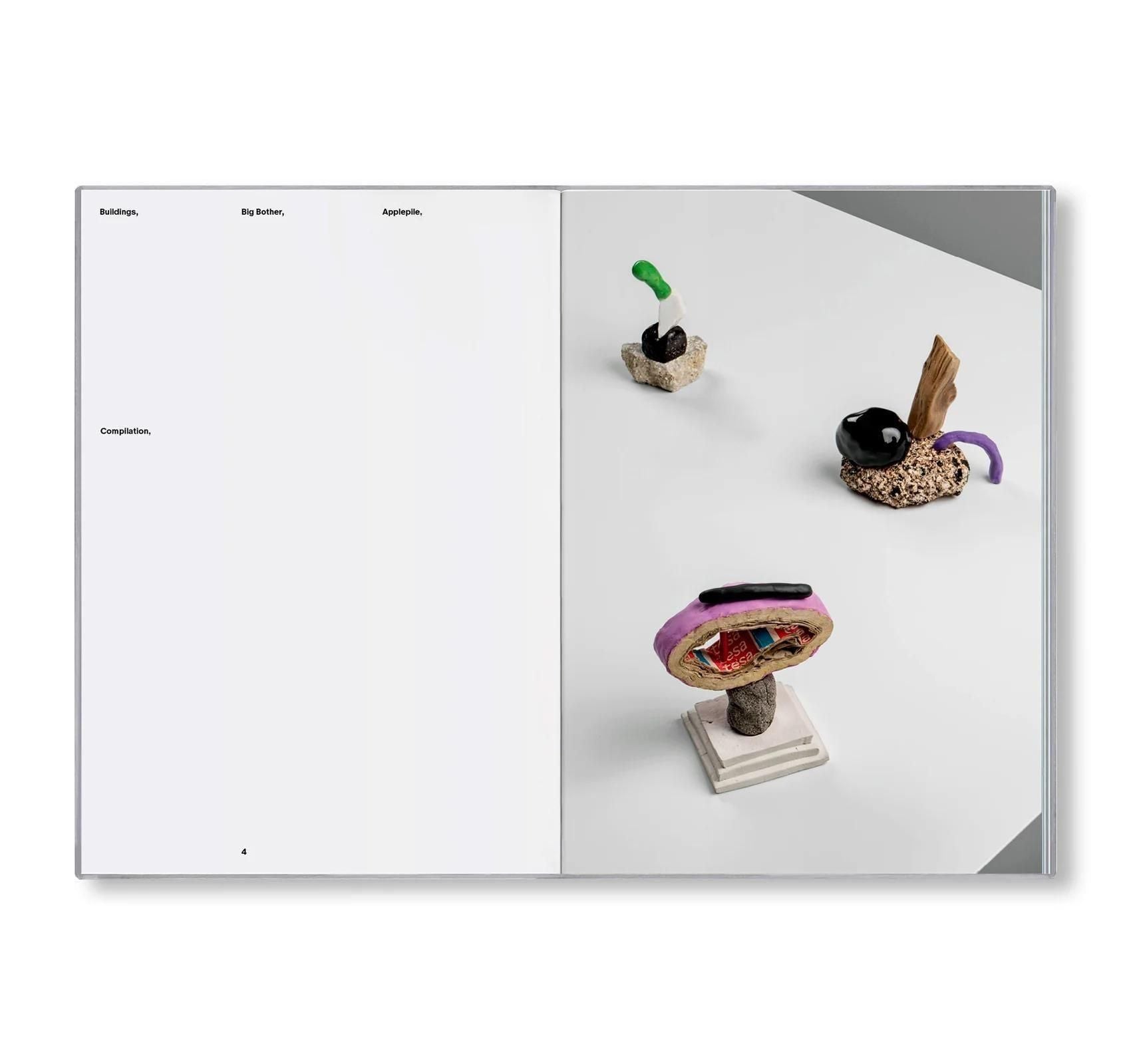書籍：BUILDINGS,  DINGBATS by Sebastian Haslauer
