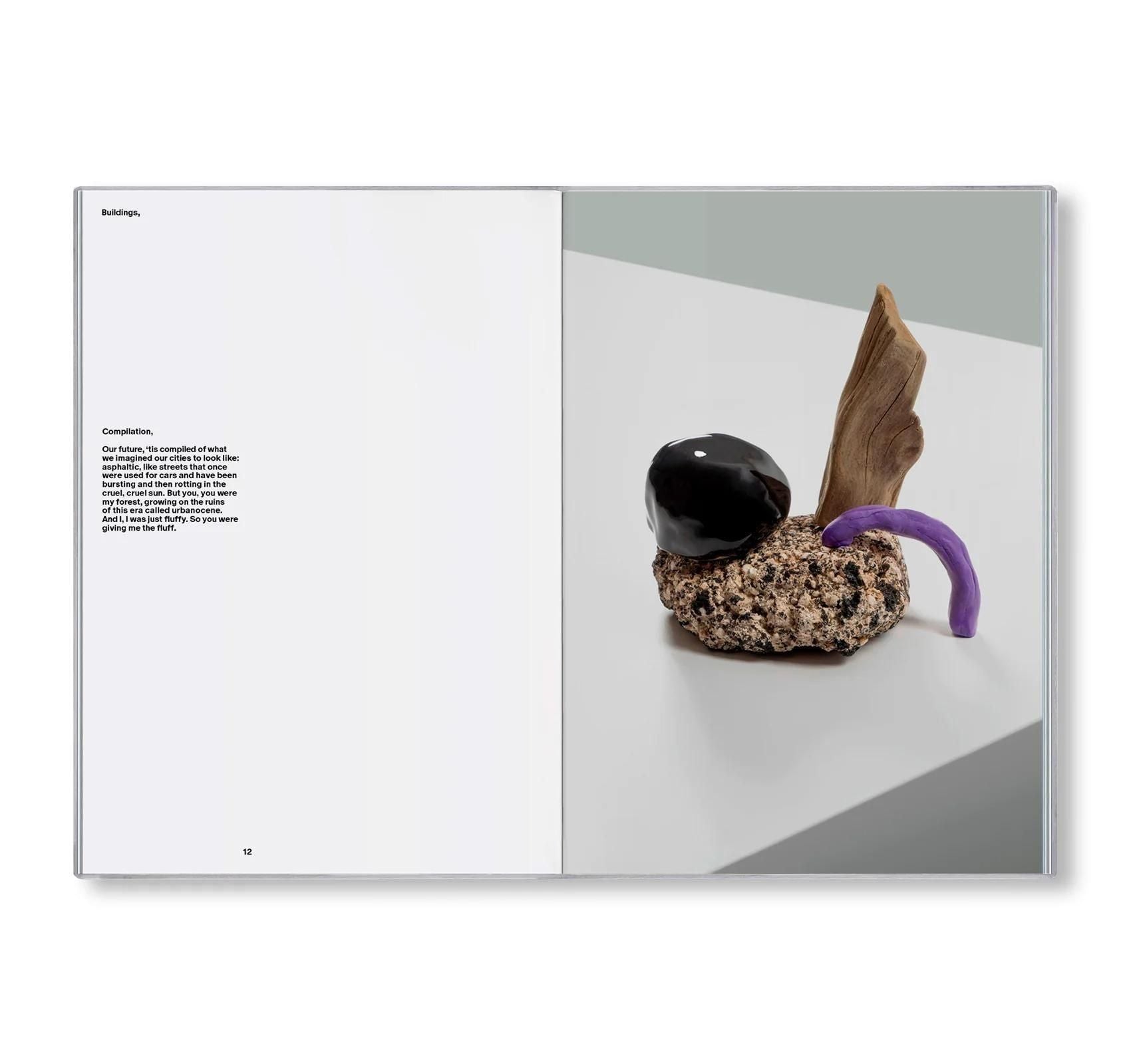 書籍：BUILDINGS,  DINGBATS by Sebastian Haslauer
