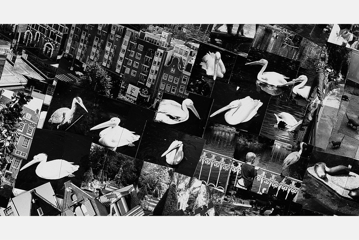 SHORT STORIES: Amsterdam 西野壮平